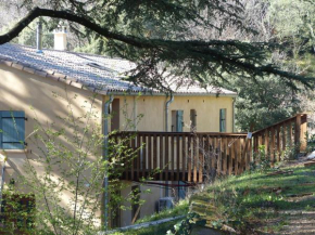 Le Murmure des Cèdres - Gîte en Cévennes